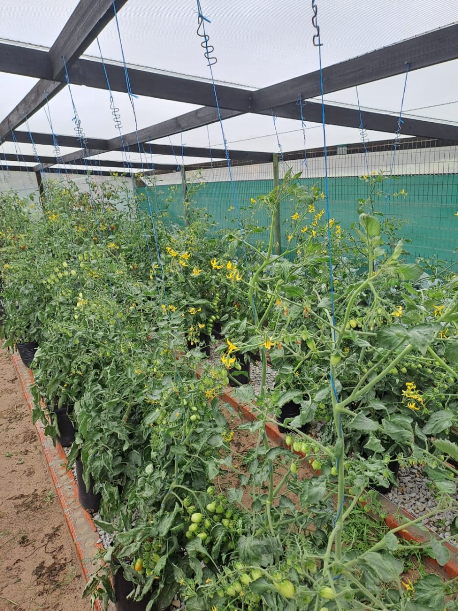 Commercial Property for Sale in St Francis Bay Rural Eastern Cape